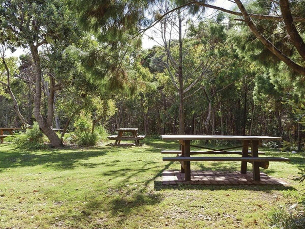 Picnic facilities at Illaroo group camping area, Yuraygir National Park. Photo: R Cleary Seen