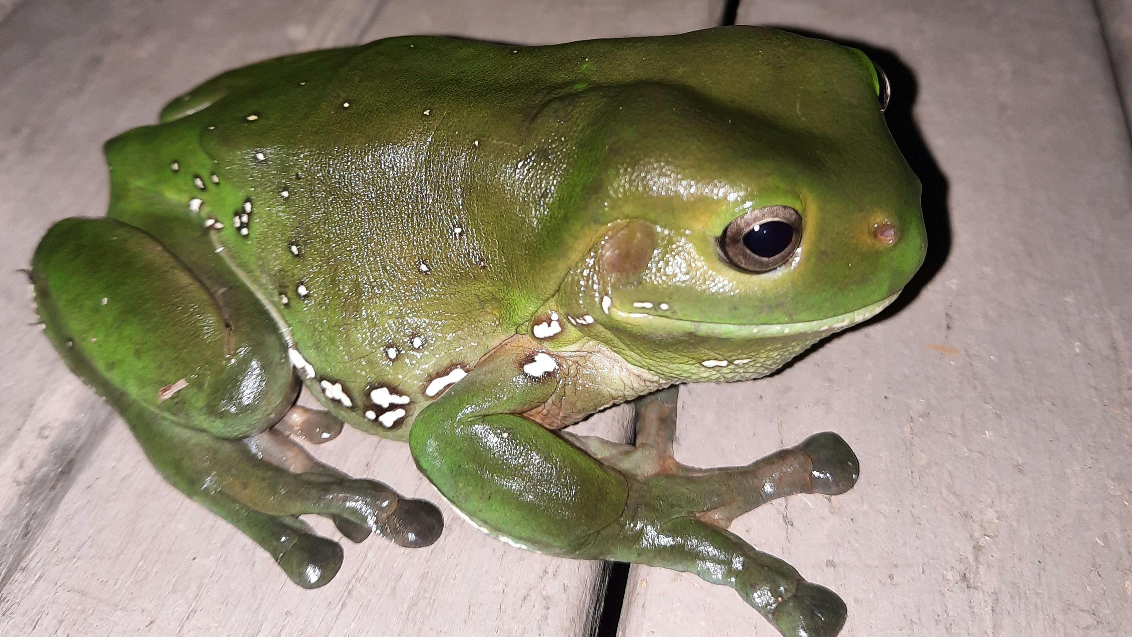 one of many green jumpers