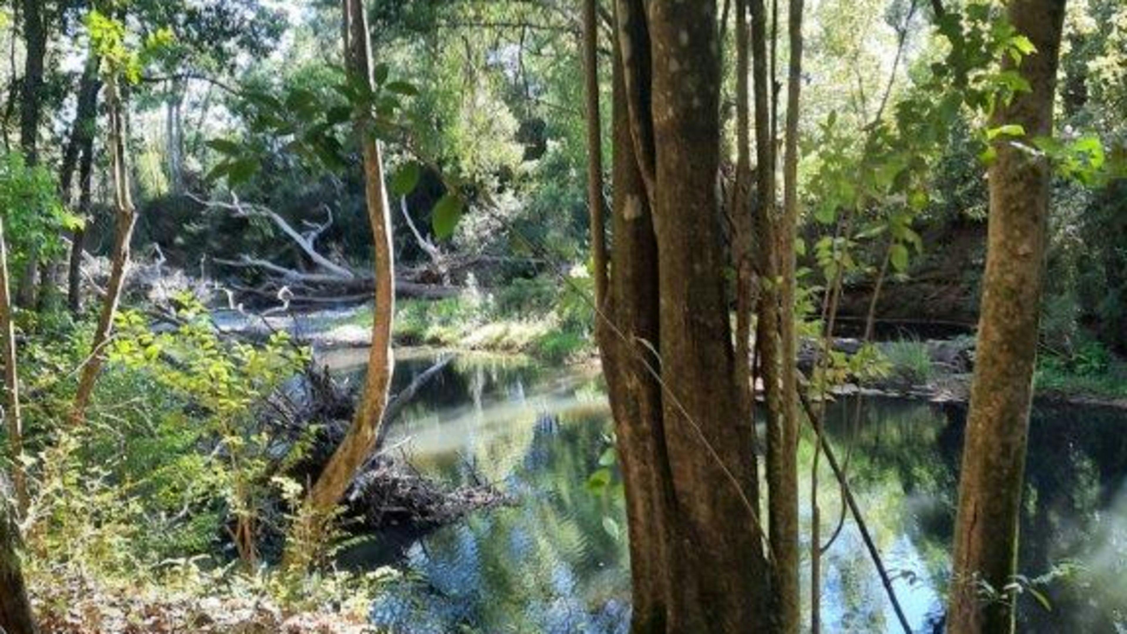 Kingfisher Kampers, Nana Glen