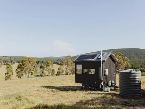 Into The Wild Escapes - Tiny  Daisy