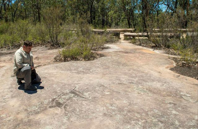 Finchley Cultural Walk