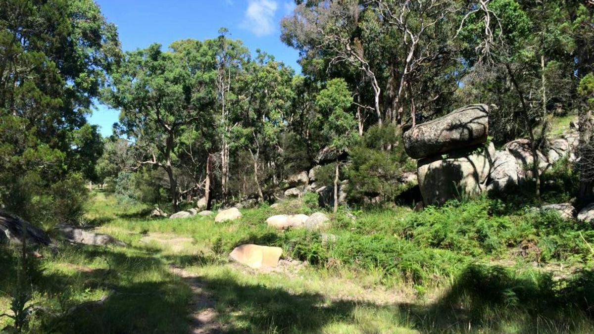 Kookaburra Camping and Caravan Park