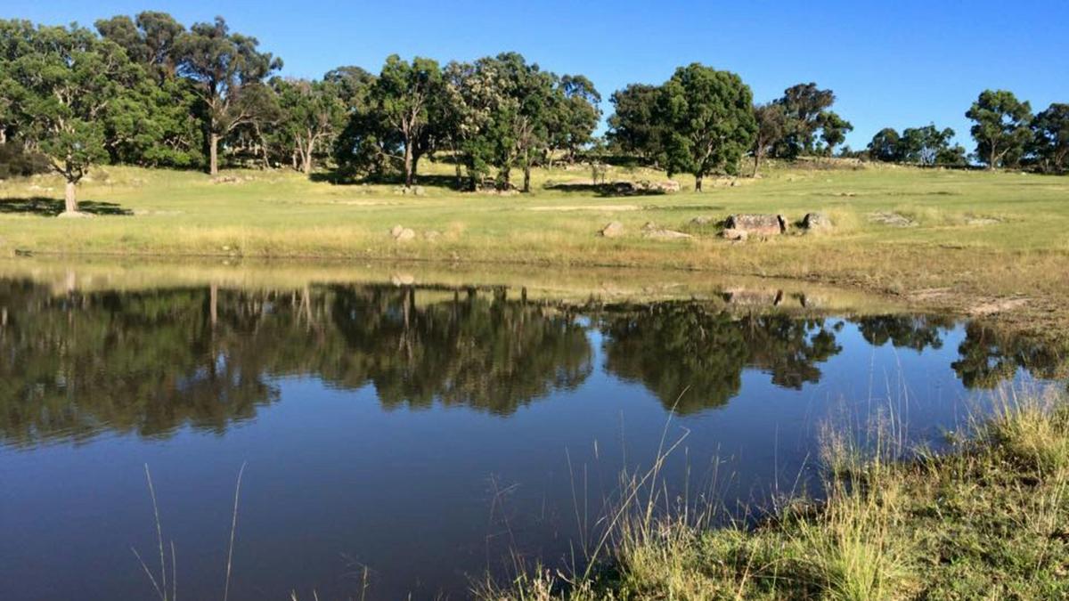 Kookaburra Camping and Caravan Park