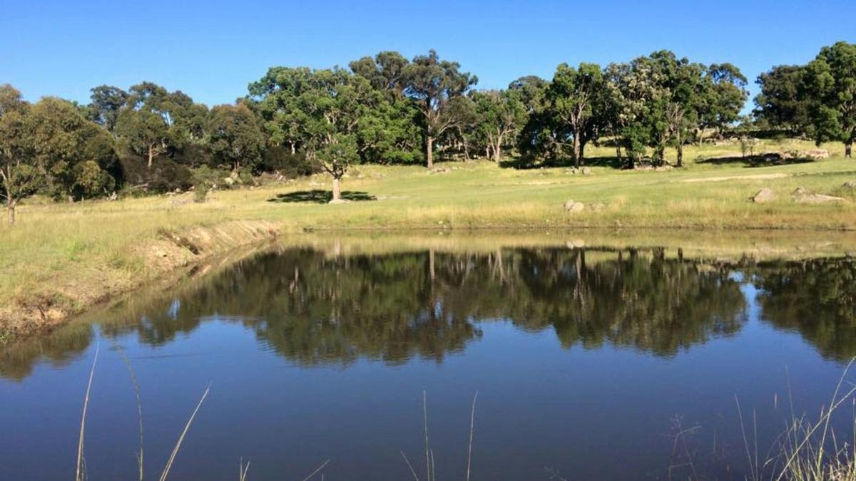 Swim in the dams