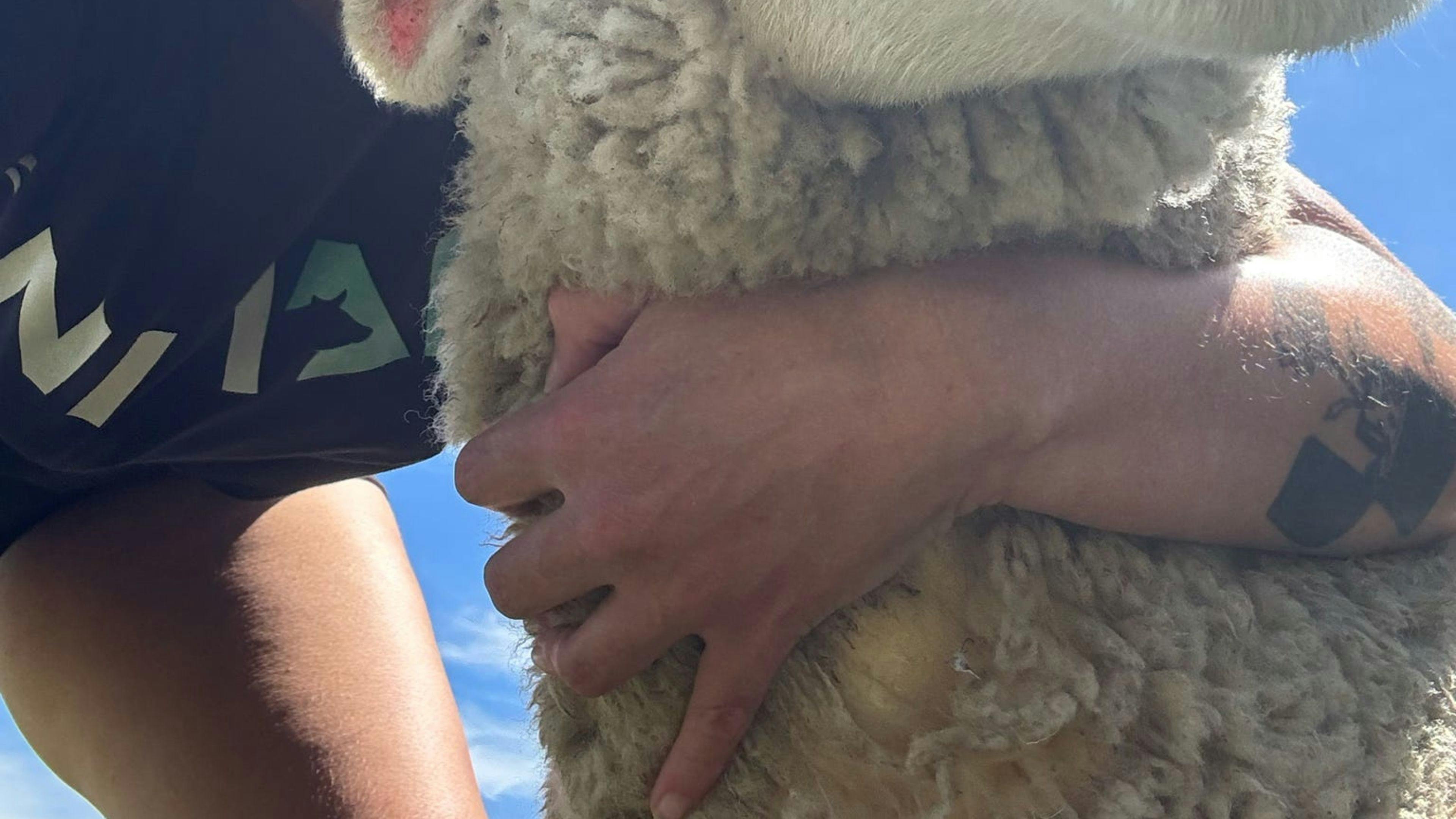 Luckystars Sanctuary