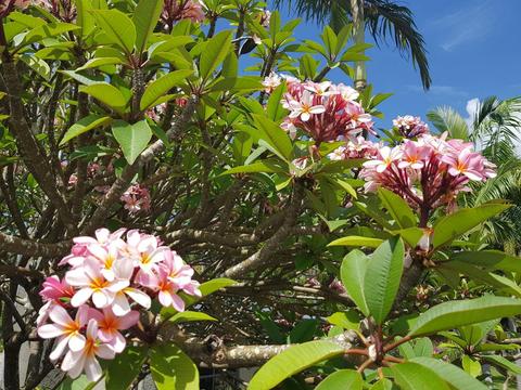 Korora Bay Village Resort