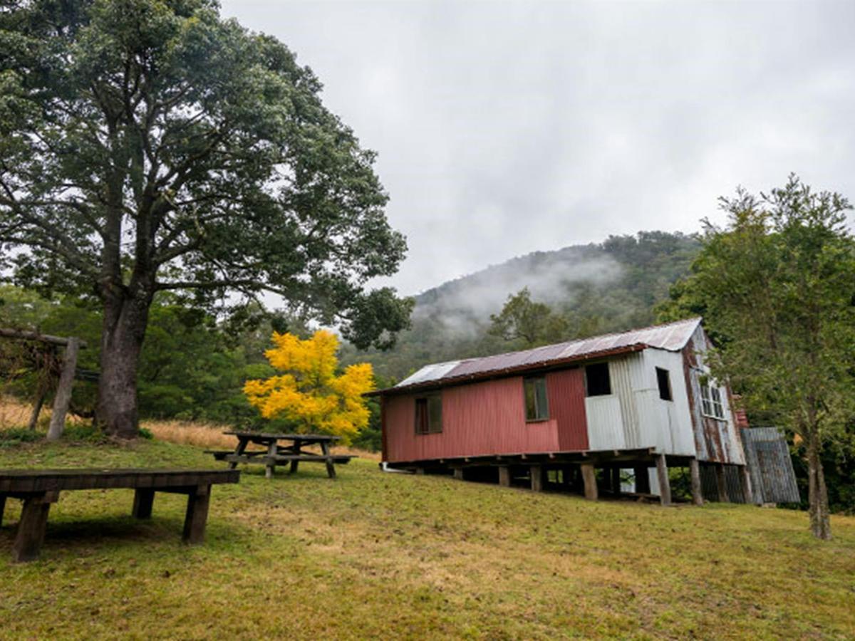 Jacky Barkers campground, Nowendoc National Park. Photo: John Spencer/NSW Government