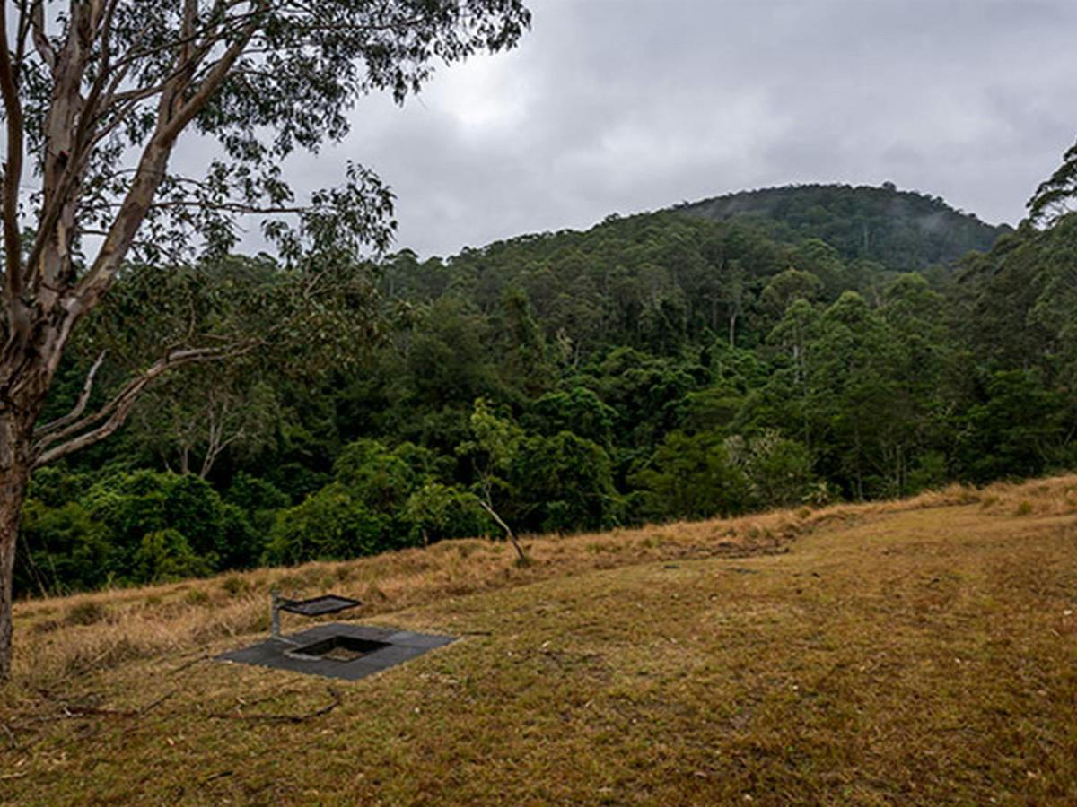 Jacky Barkers campground, Nowendoc National Park. Photo: John Spencer/NSW Government