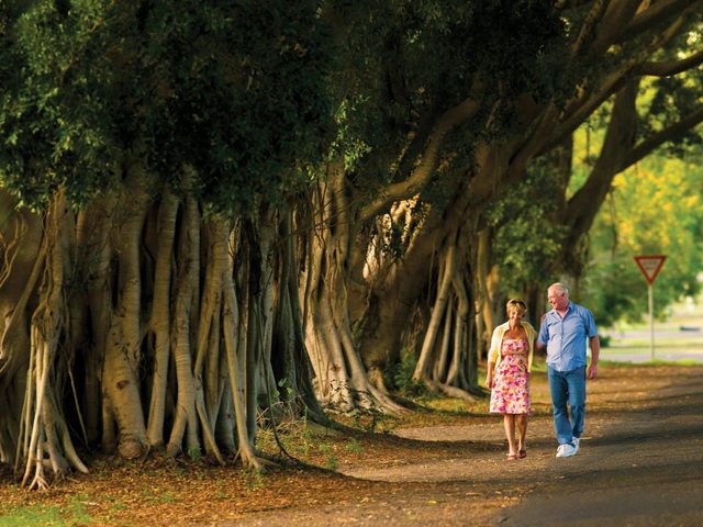 Fig Tree Avenue