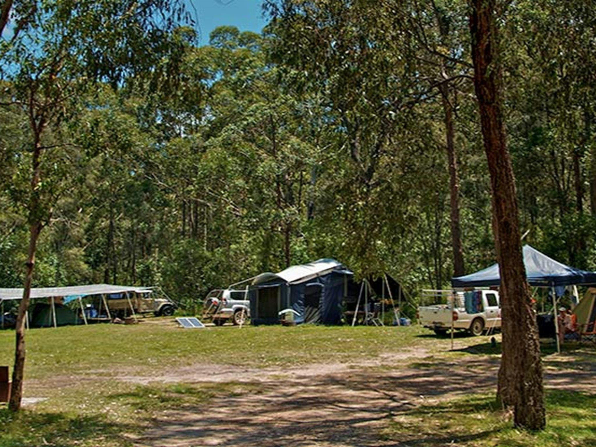 Korsmans Landing campground, Myall Lakes National Park. Photo: John Spencer/NSW Government