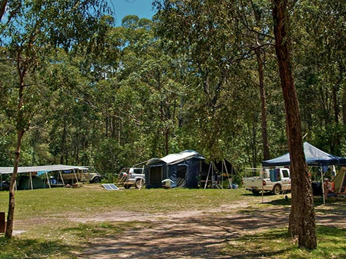 Korsmans Landing campground, Myall Lakes National Park. Photo: John Spencer/NSW Government