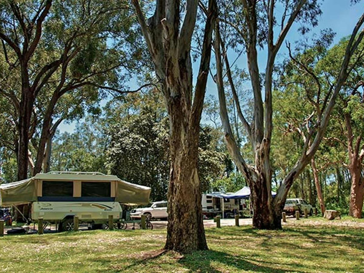 Korsmans Landing campground, Myall Lakes National Park. Photo: John Spencer/NSW Government