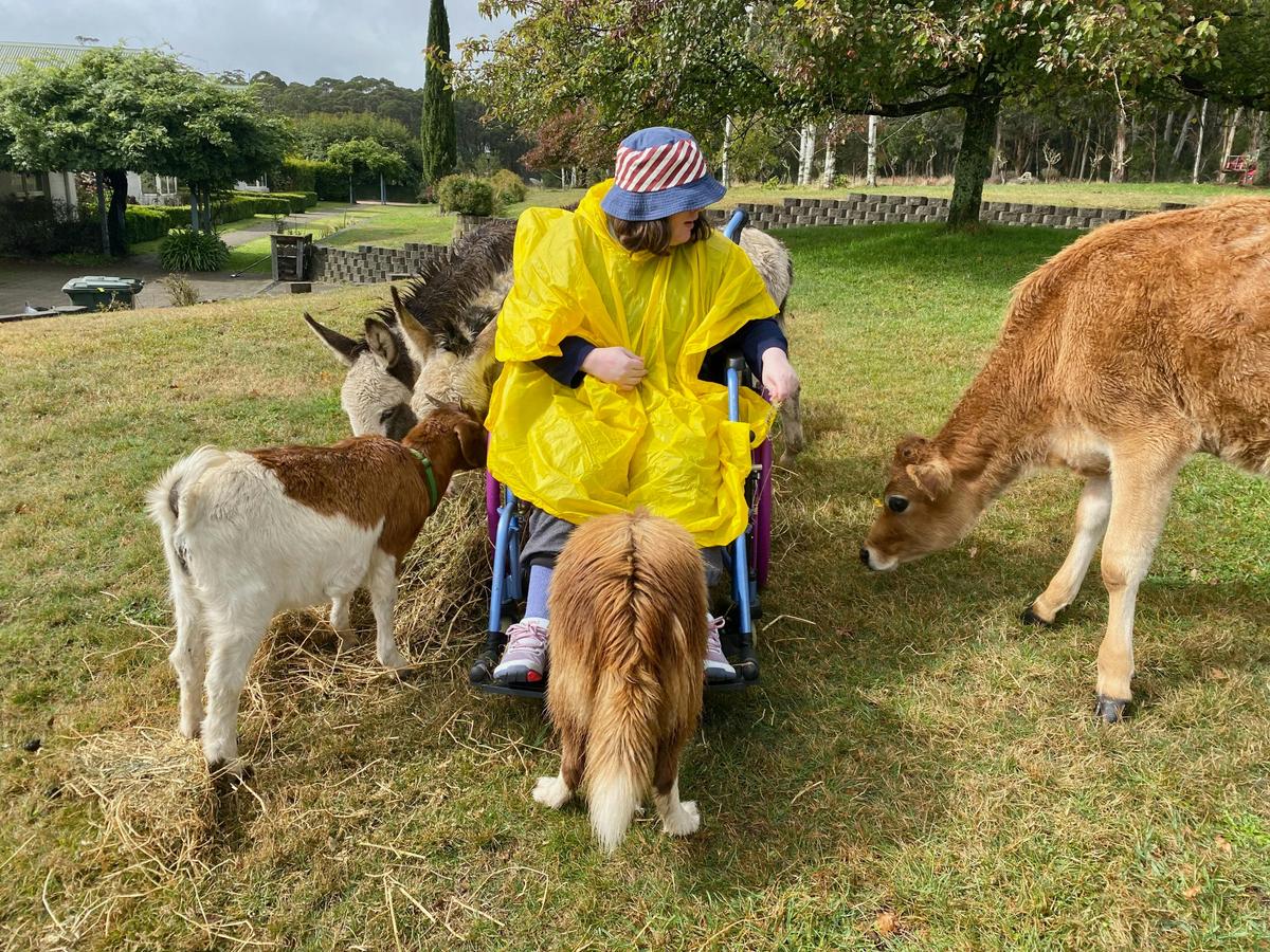 Feeding time, big laughs, and no barriers 💫 At Kenzell Farm, everyone gets to be part of the fun.