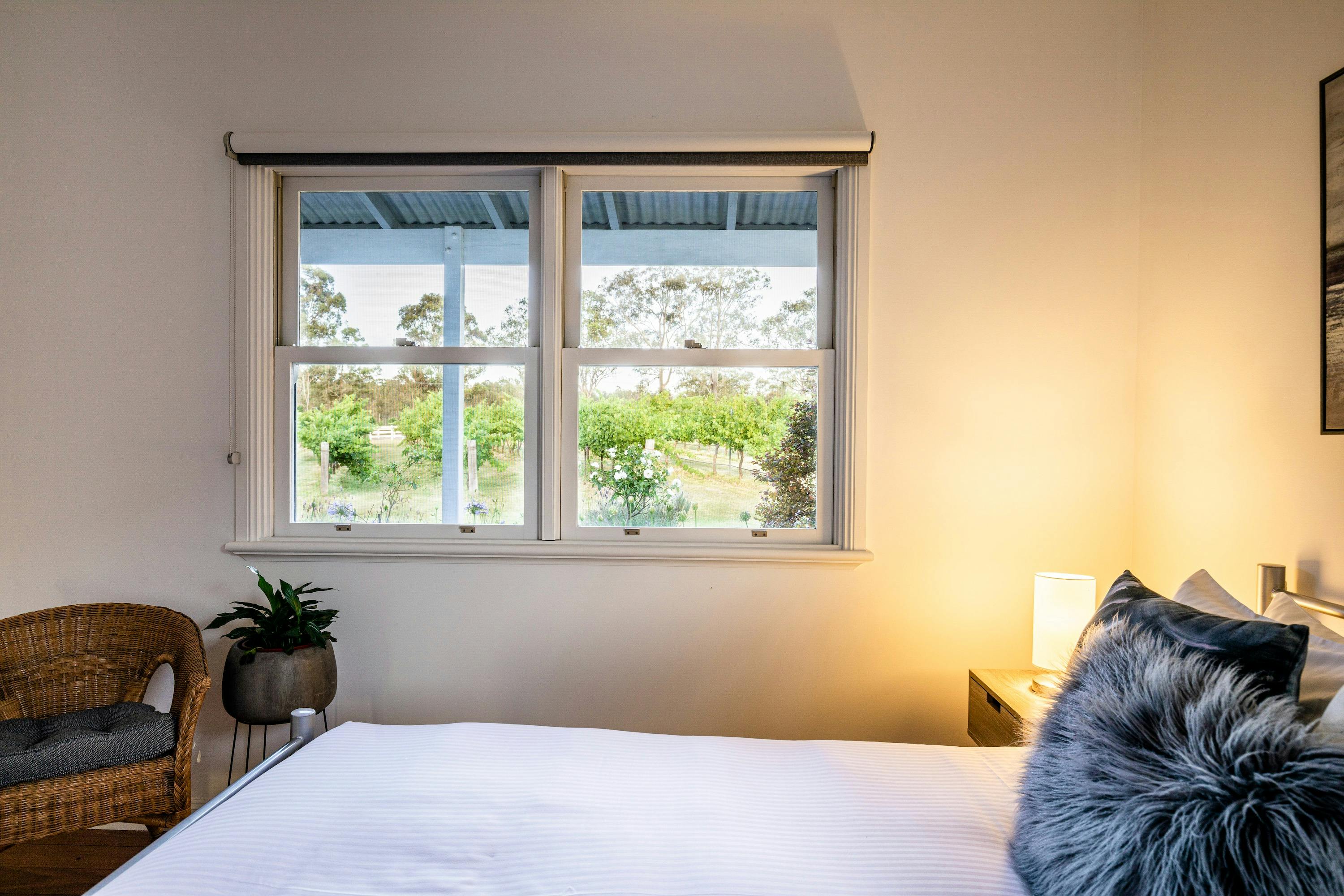 Vineyard views from your own bed in our self-contained cottages