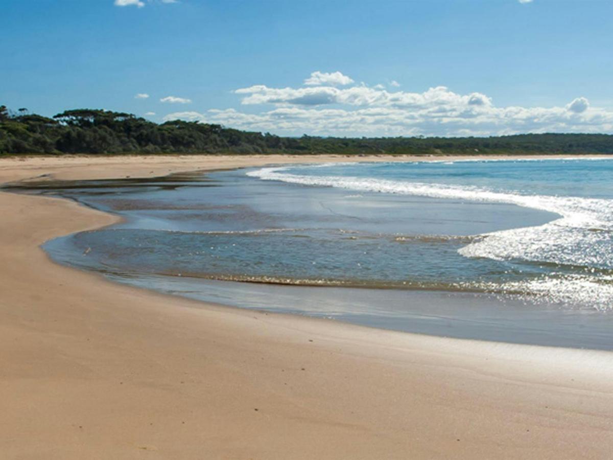 Meroo Head campground, Meroo National Park. Photo: Michael van Ewijk/OEH