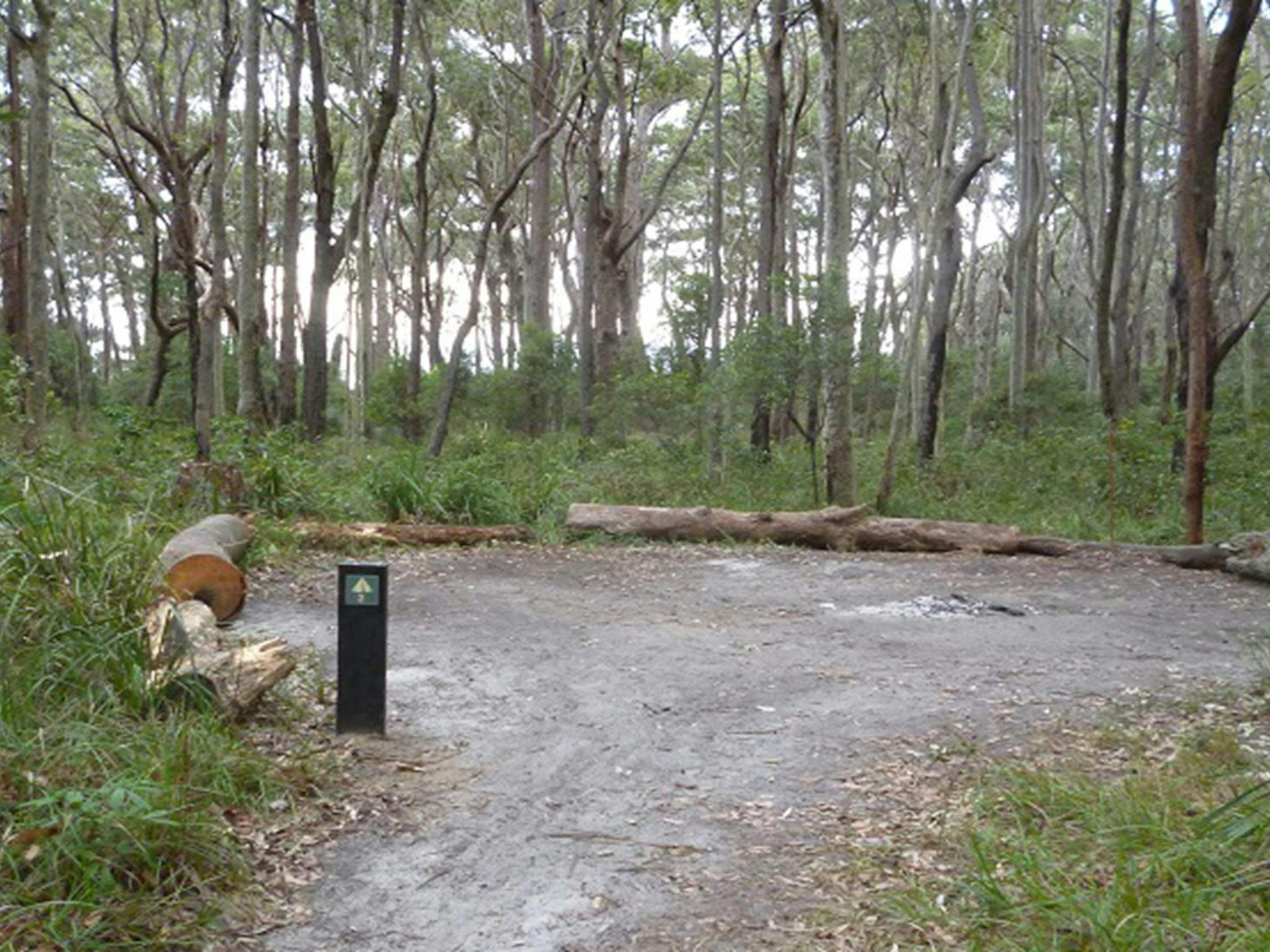 Meroo Head campground. Photo: Meghan Kempster/NPWS