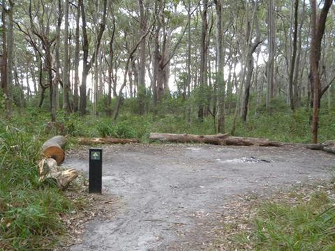 Meroo Head campground. Photo: Meghan Kempster/NPWS