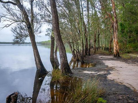 Joes Cove campground