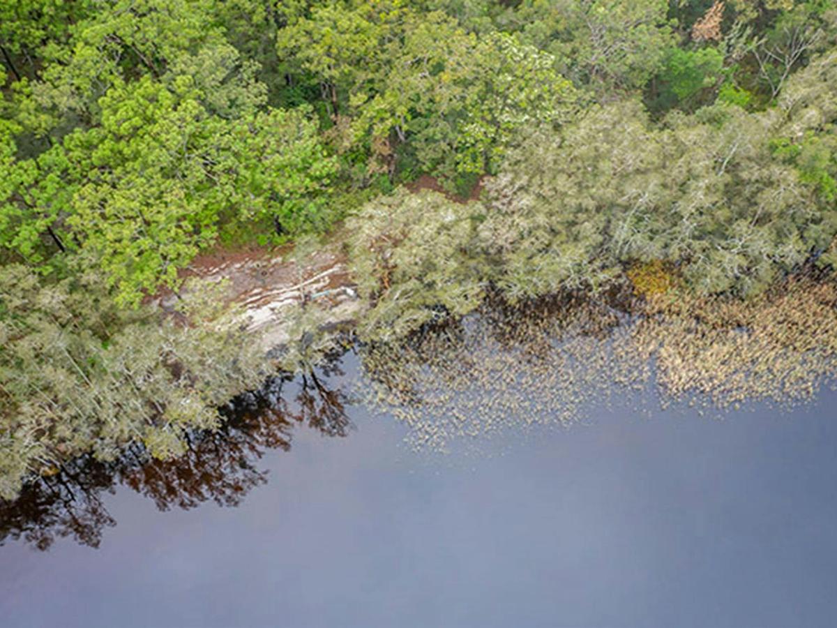 Aerial view of Joes Cove campground, set amongst bushland on the shores of Two Mile Lake in Myall
