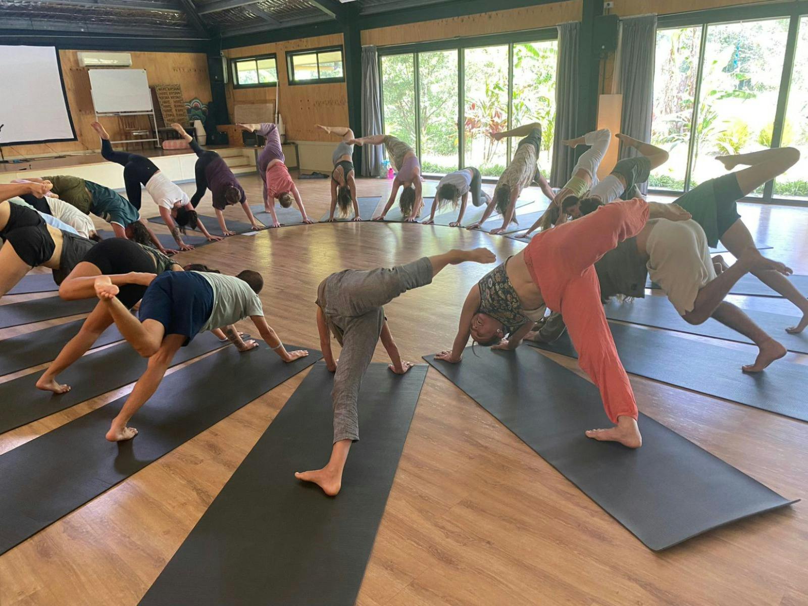 Join us for 2-3 yoga classes/day. Beginner friendly, we also challenge experienced yogis