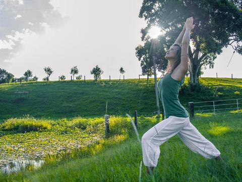 Krishna Village