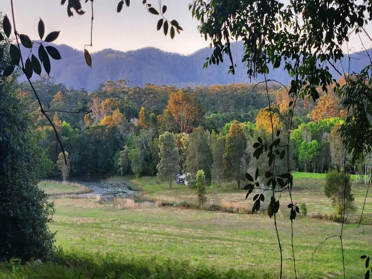 Autumn colours at Little Pine Creek