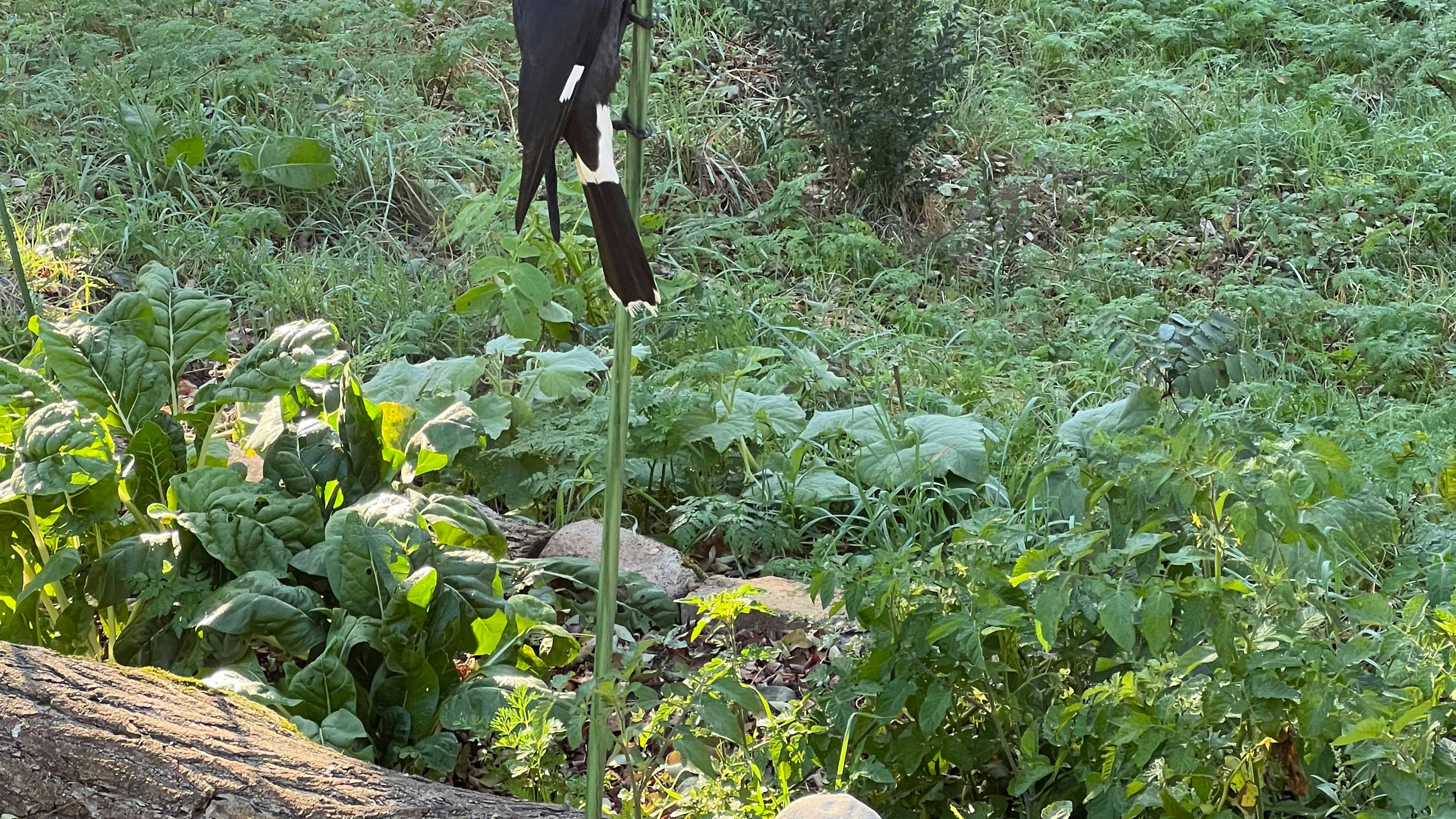 Little Creek Retreat