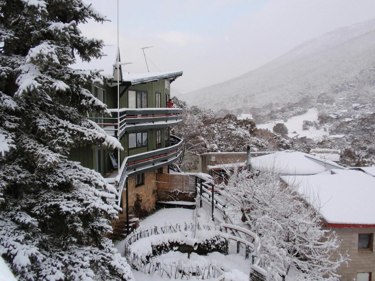 Kasees in snow