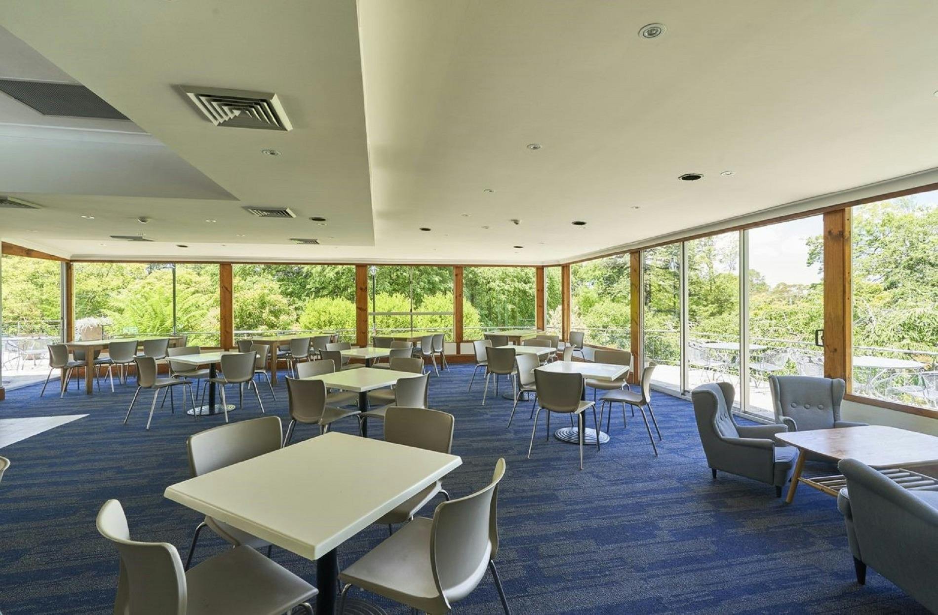 Olive Tree Breakfast Lounge