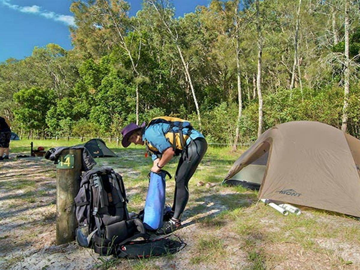 Johnsons Beach campground, Myall Lakes National Park. Photo: John Spencer/NSW Government