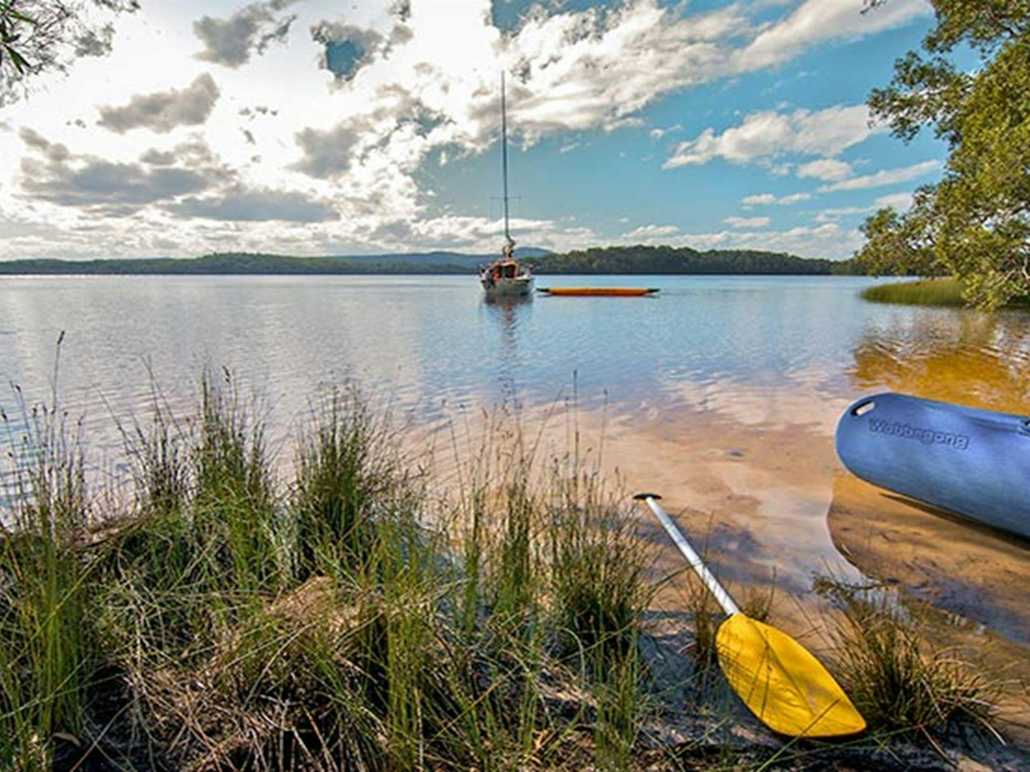 Johnsons Beach campground, Myall Lakes National Park. Photo: John Spencer/NSW Government