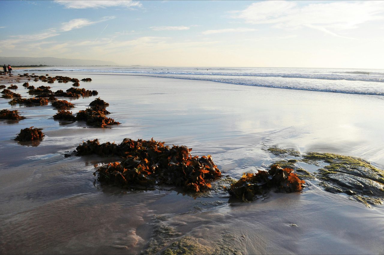Fairy Meadow Beach