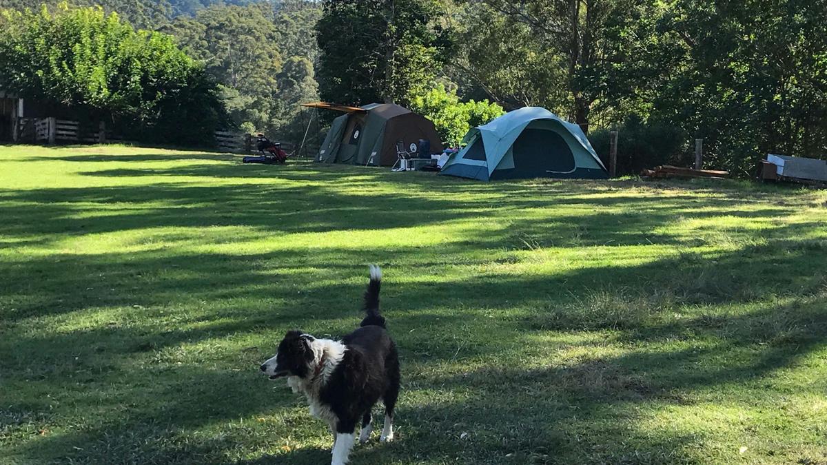 Little Forest Farmstay