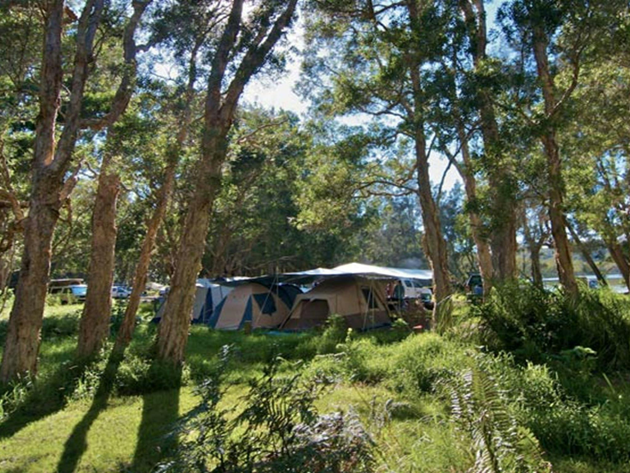 Neranie campground tents, Myall Lakes National Park. Photo:John Spencer/DPIE