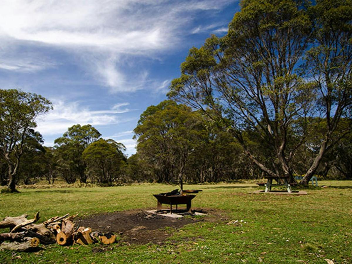 Little Murray campground, Barrington Tops National Park. Photo: John Spencer/NSW Government