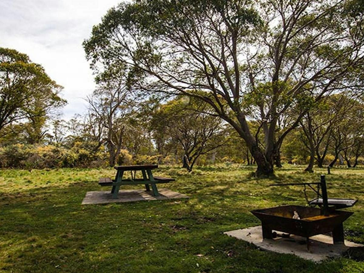 Little Murray campground, Barrington Tops National Park. Photo: John Spencer/NSW Government