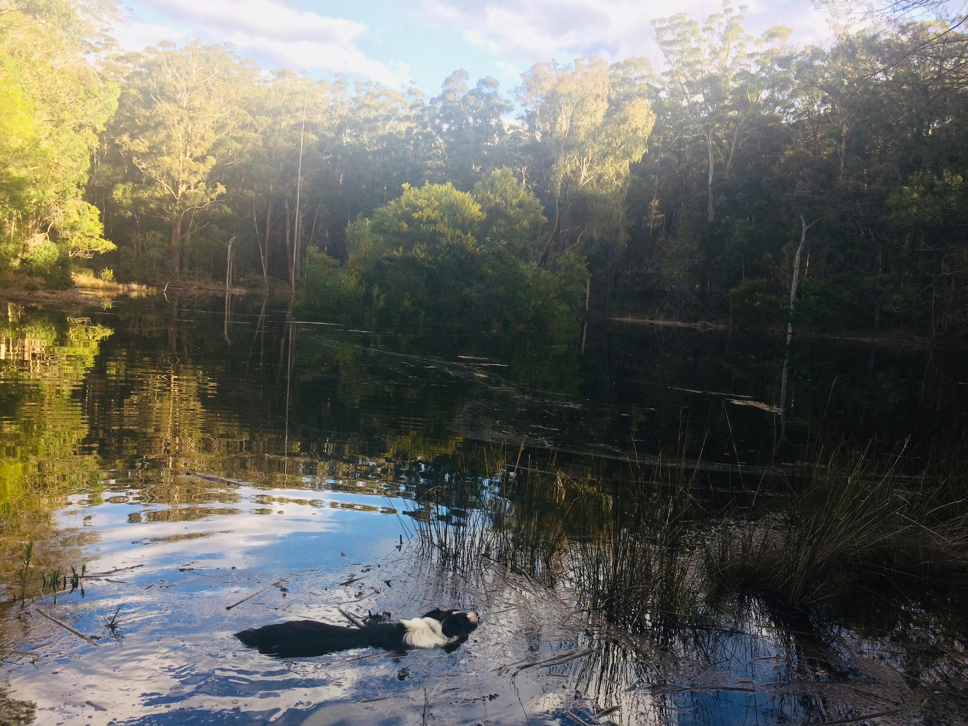 Swimming in the Hidden Lake (Back Dam)