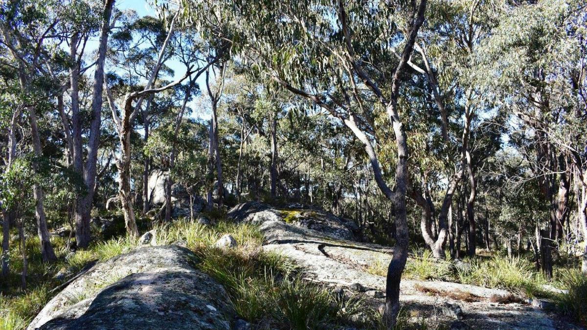 Jindalee Bush camping