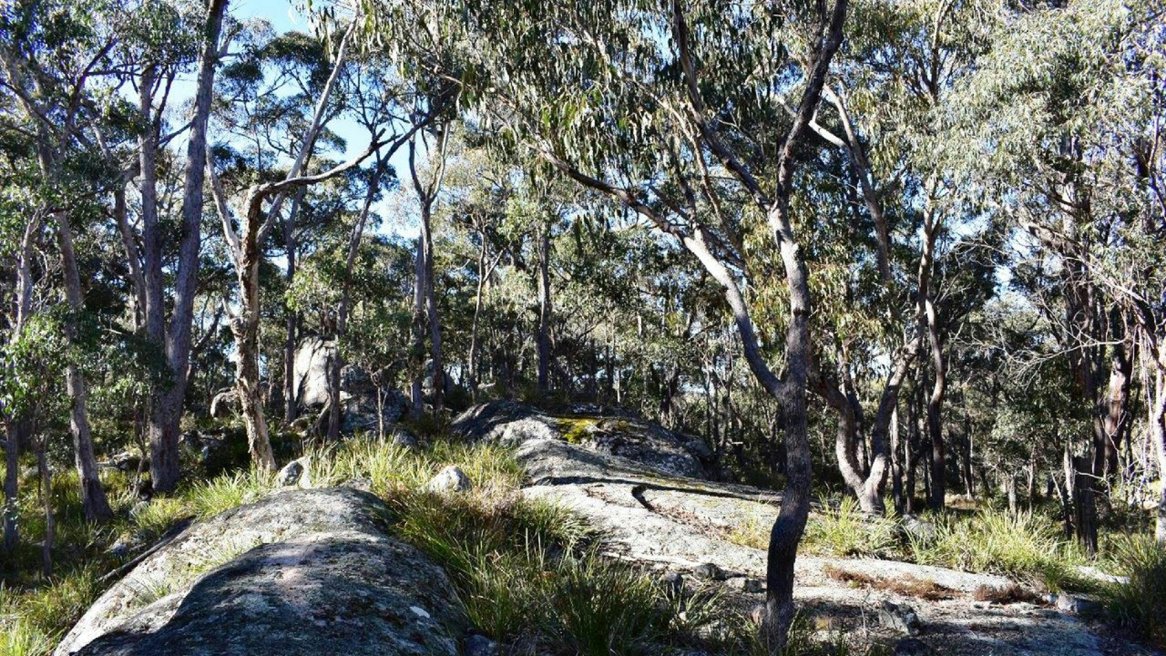 Outcrops of granite rocks