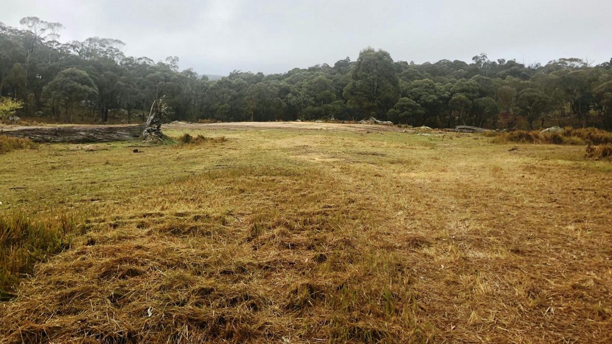 Jindalee Bush camping
