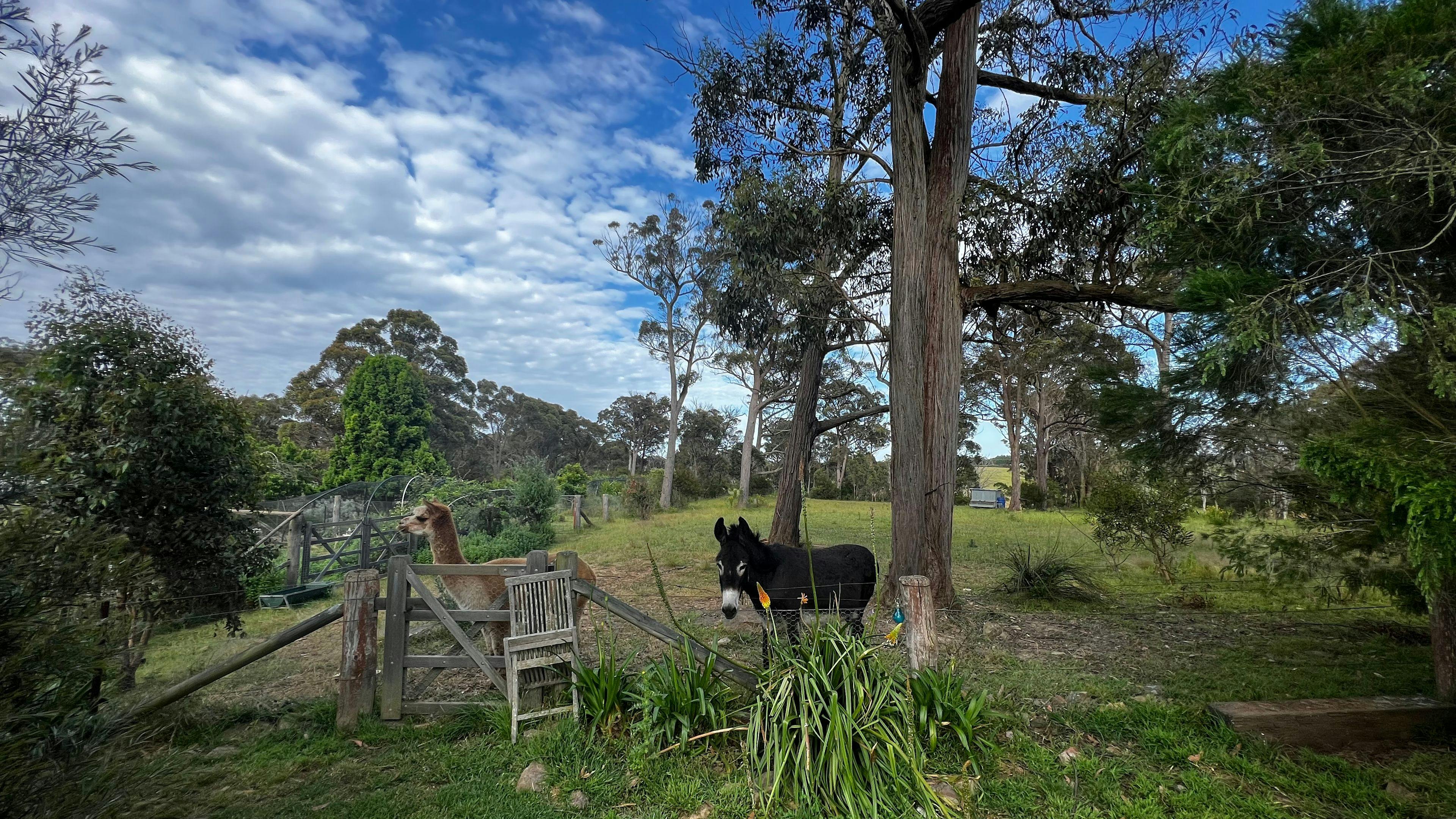 Claude and Nellie and unusual couple 