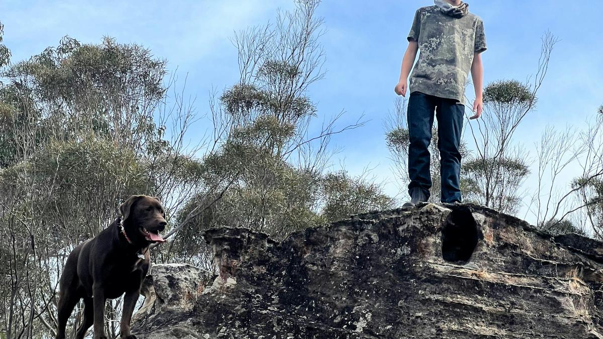 Joadja Gorge Retreat & Camping