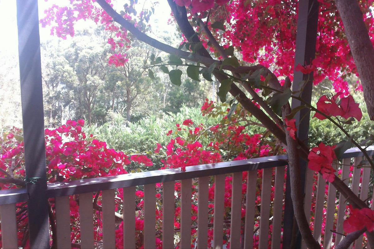 View from the bedroom