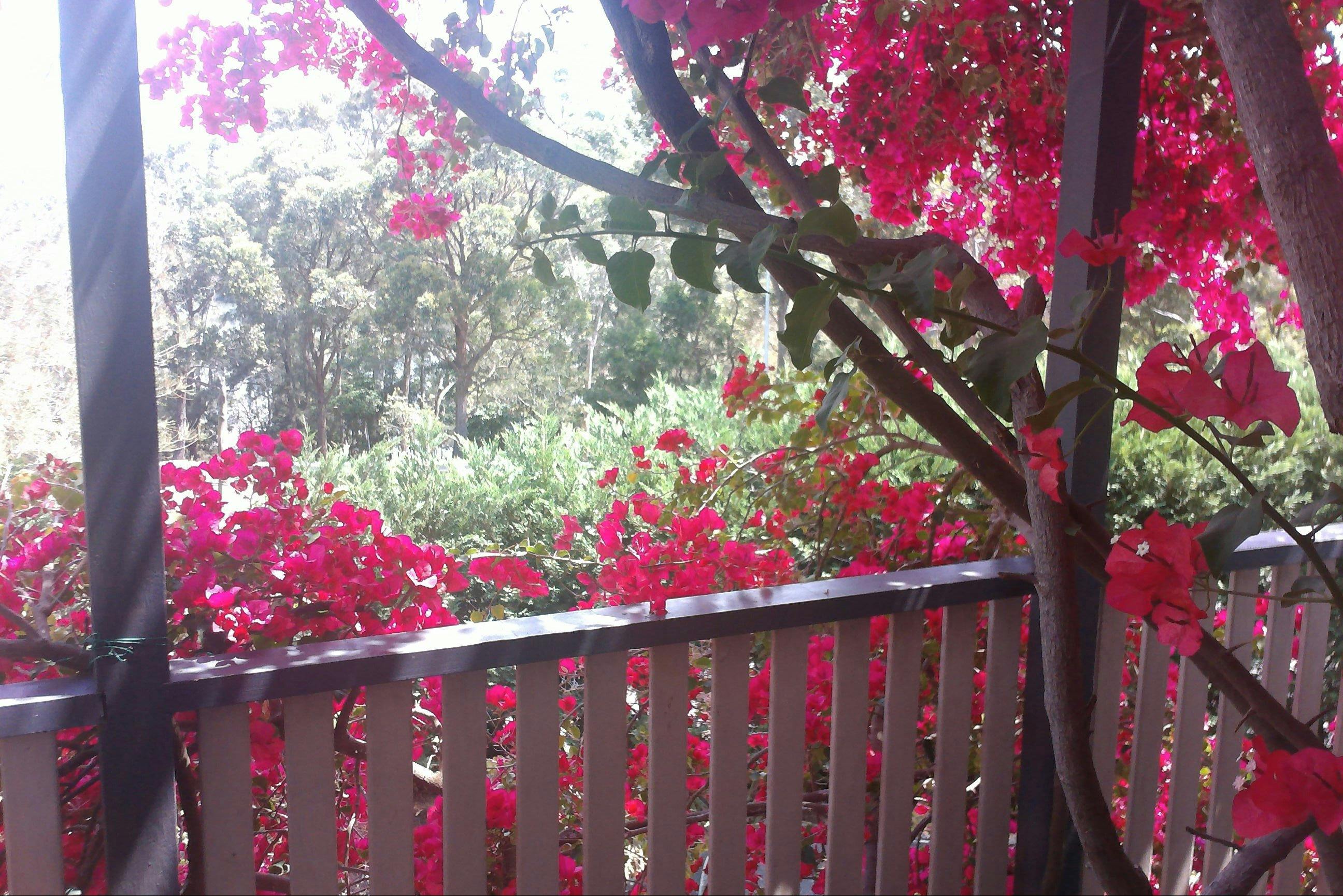 View from the bedroom