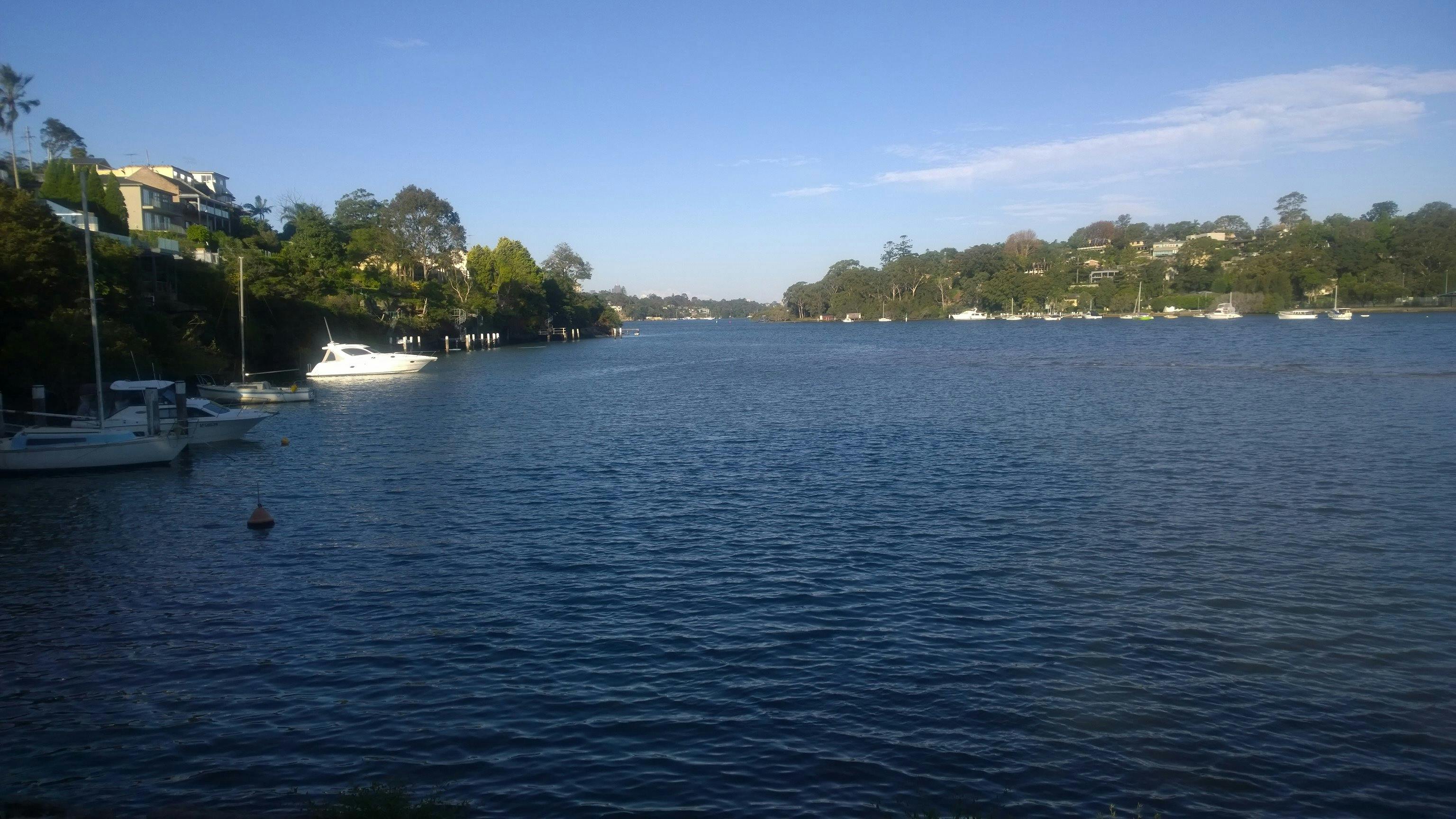 Lane Cove River