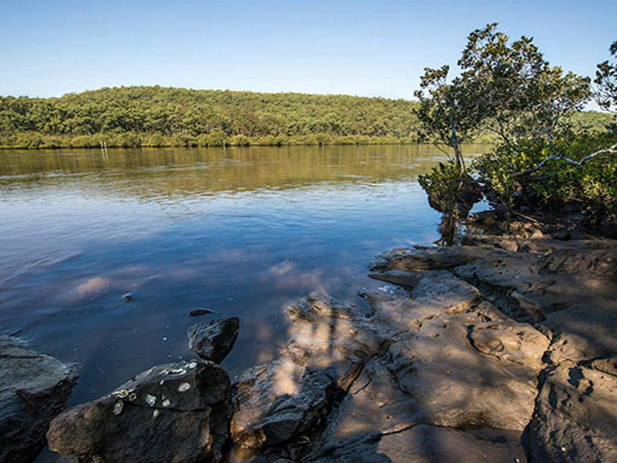 Little Mountain Campground, Karuah National Park. Photo: John Spencer/NSW Government