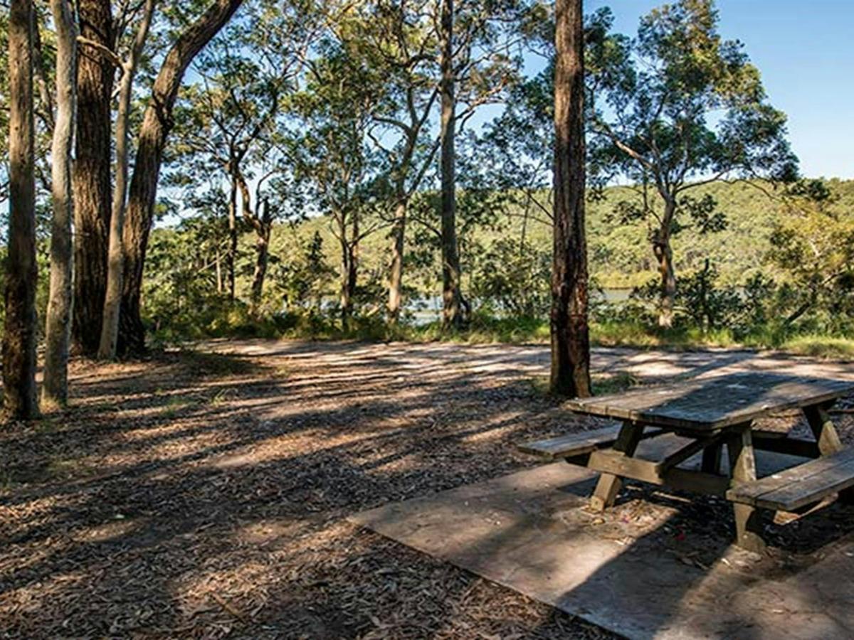 Little Mountain Campground, Karuah National Park. Photo: John Spencer/NSW Government