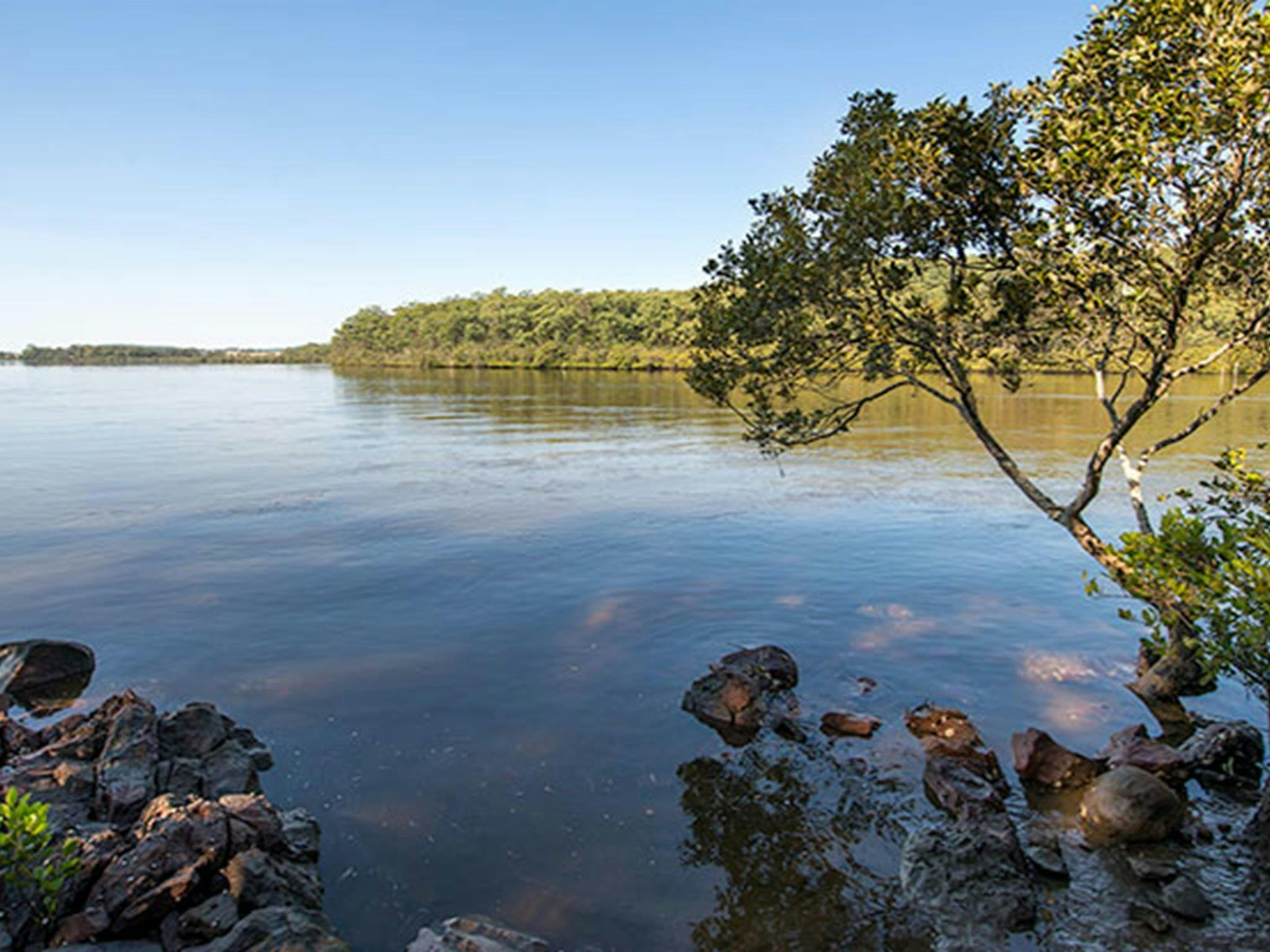 Little Mountain Campground, Karuah National Park. Photo: John Spencer/NSW Government