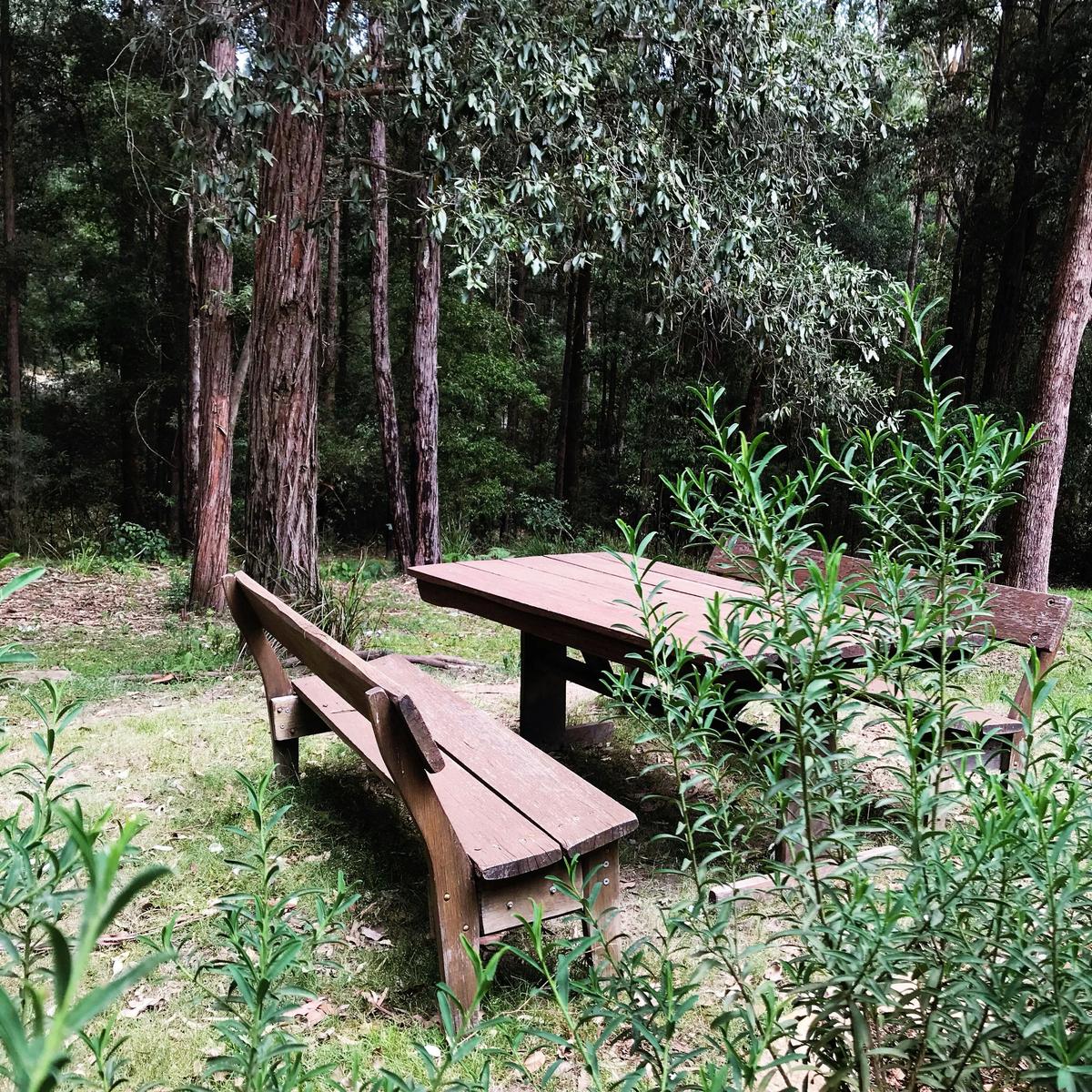 Quiet spots to sit and enjoy the bush.