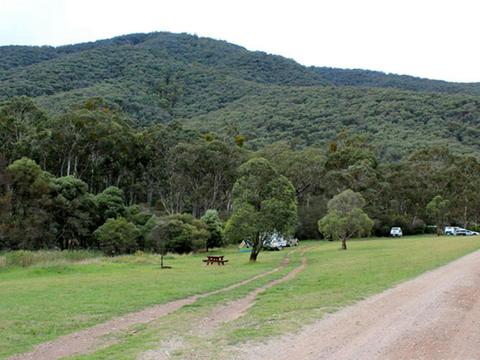 Jounama Creek campground, Kosciuszko National Park. Photo: Clint & Todd Wright/NSW Government